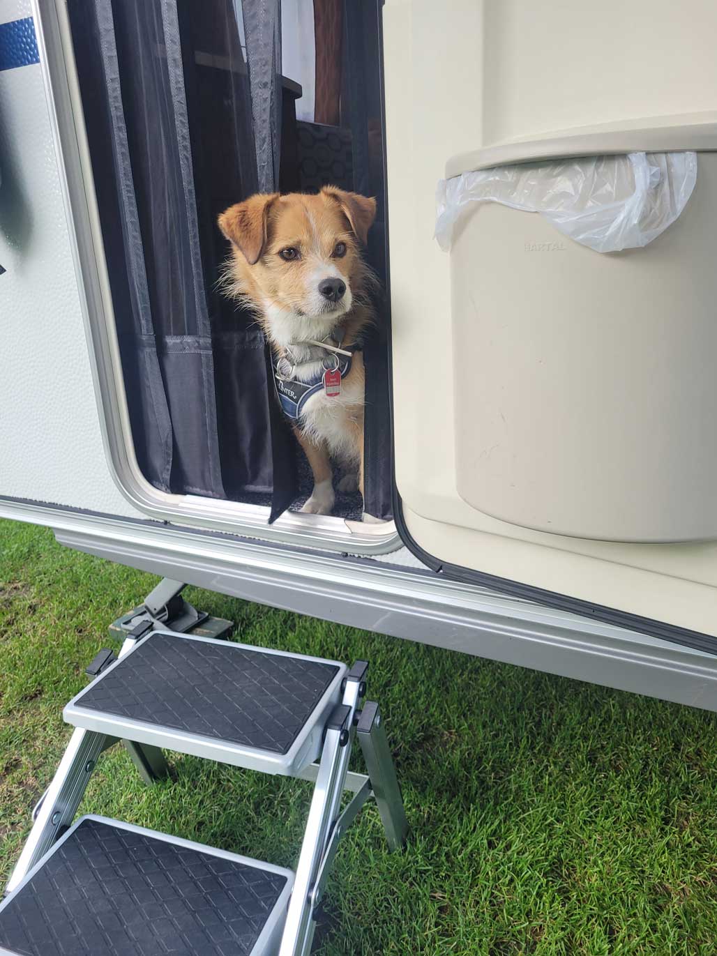 Gibt's was zu fuddern ?