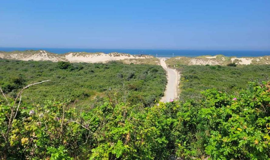 25 Camping Oranjezon
